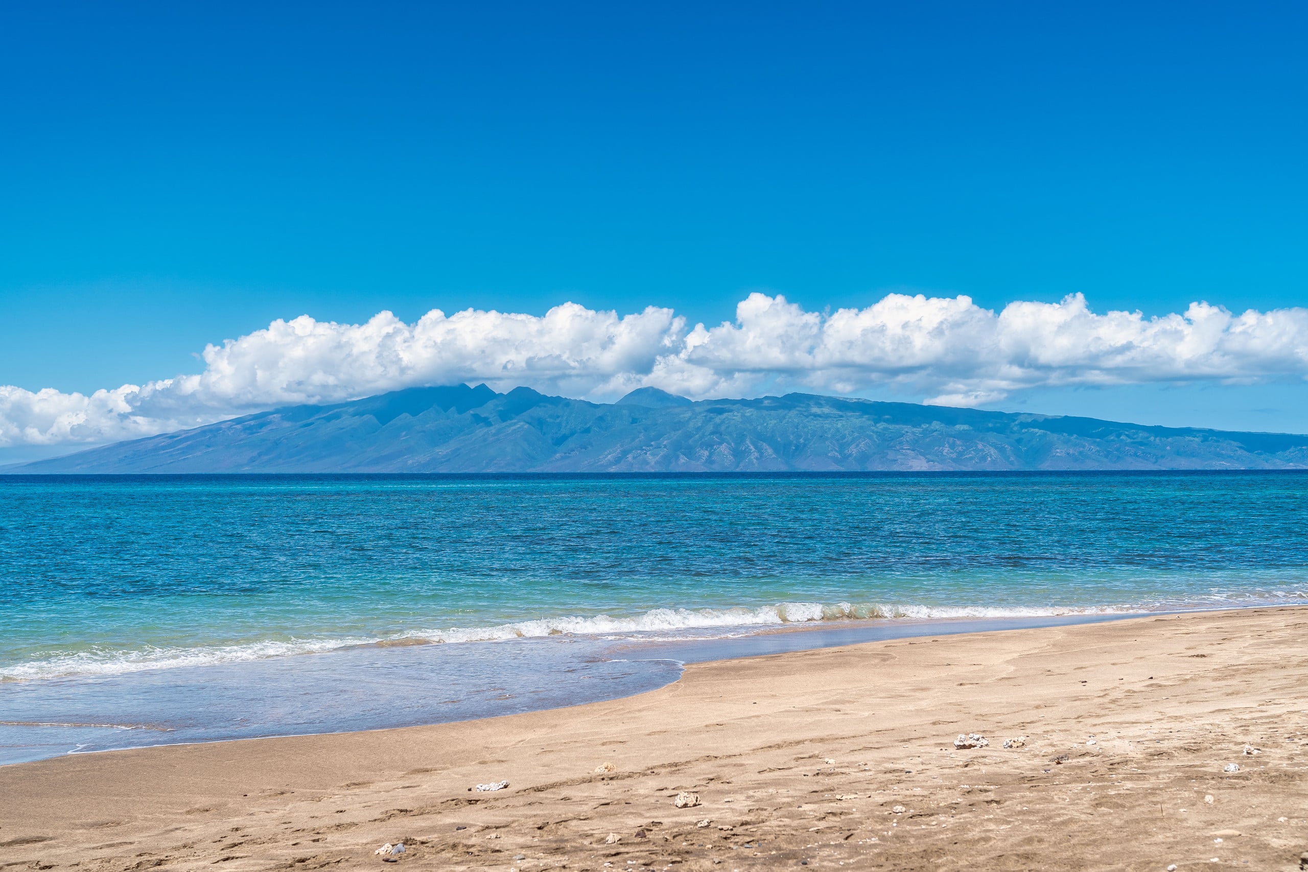 Condo in Lahaina · ★4.92 · 3 bedrooms · 6 beds · 3 baths - Image 69