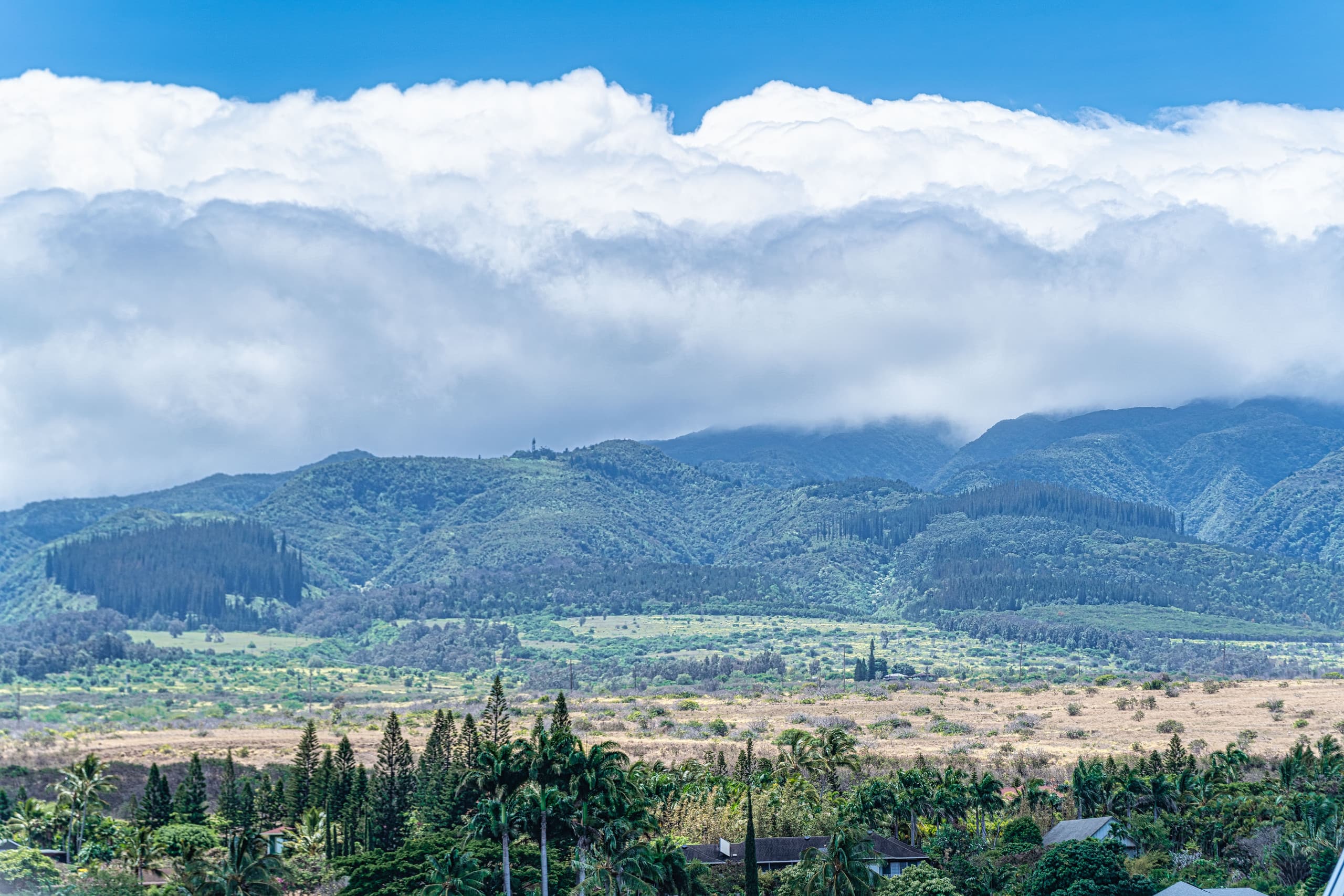 Condo in Lahaina · ★4.92 · 3 bedrooms · 6 beds · 3 baths - Image 49