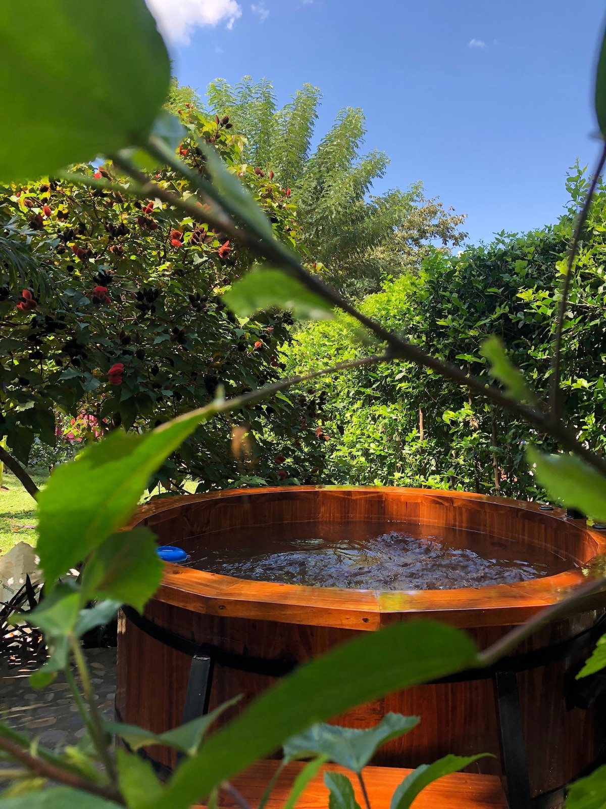 A wooden jacuzzi is surrounded by lush greenery and colorful plants under a bright blue sky. The calming water can be seen rippling gently, inviting relaxation and a connection to nature.