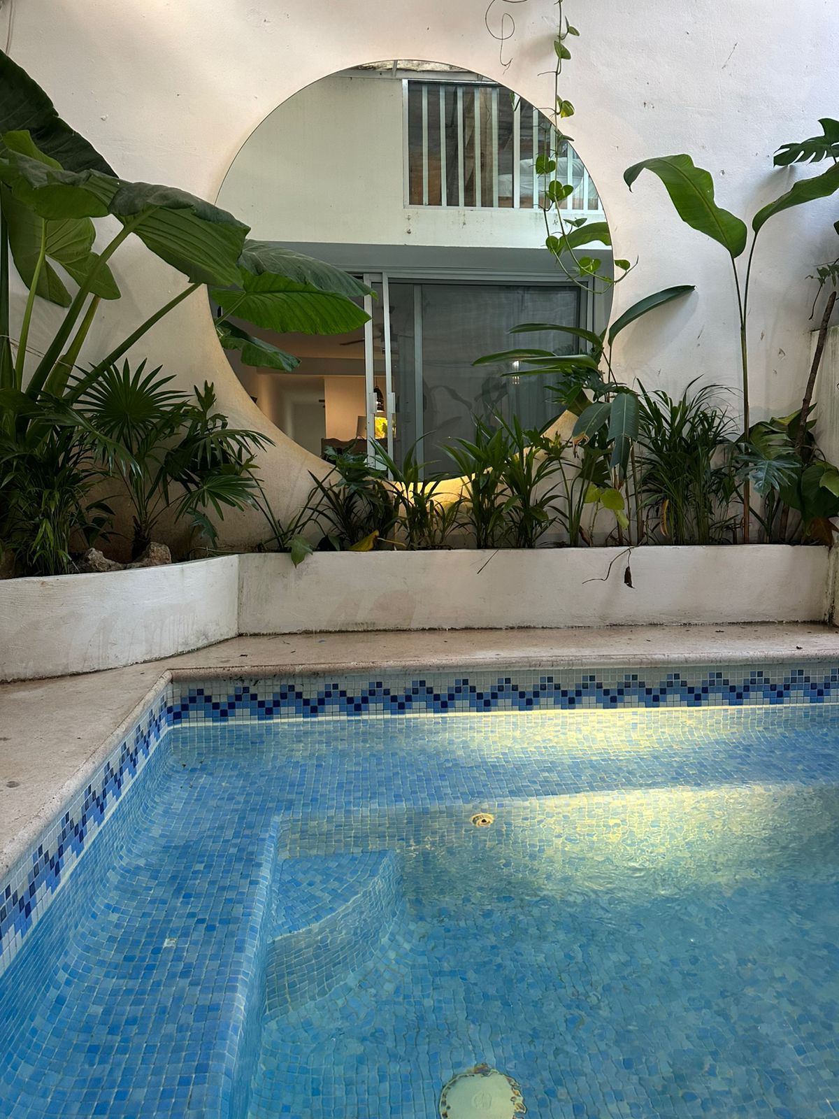 A small, refreshing pool is surrounded by lush greenery, with various plants positioned around its border. A large circular mirror reflects the light and offers a glimpse of the interior space beyond. The pool's tiled surface glimmers under natural light.