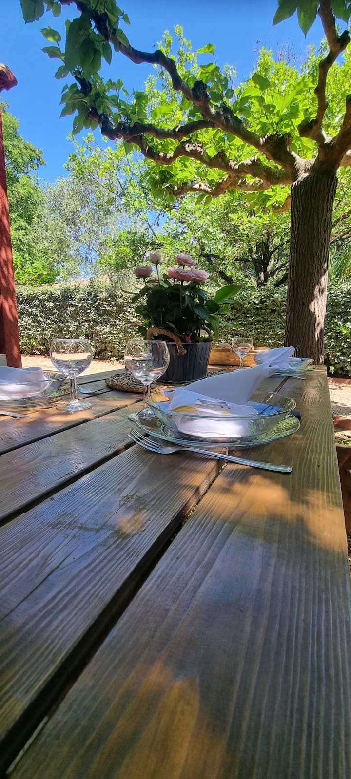 Beachfront I Querci - Villas for Rent in Poggio-Mezzana, Corse, France -  Airbnb