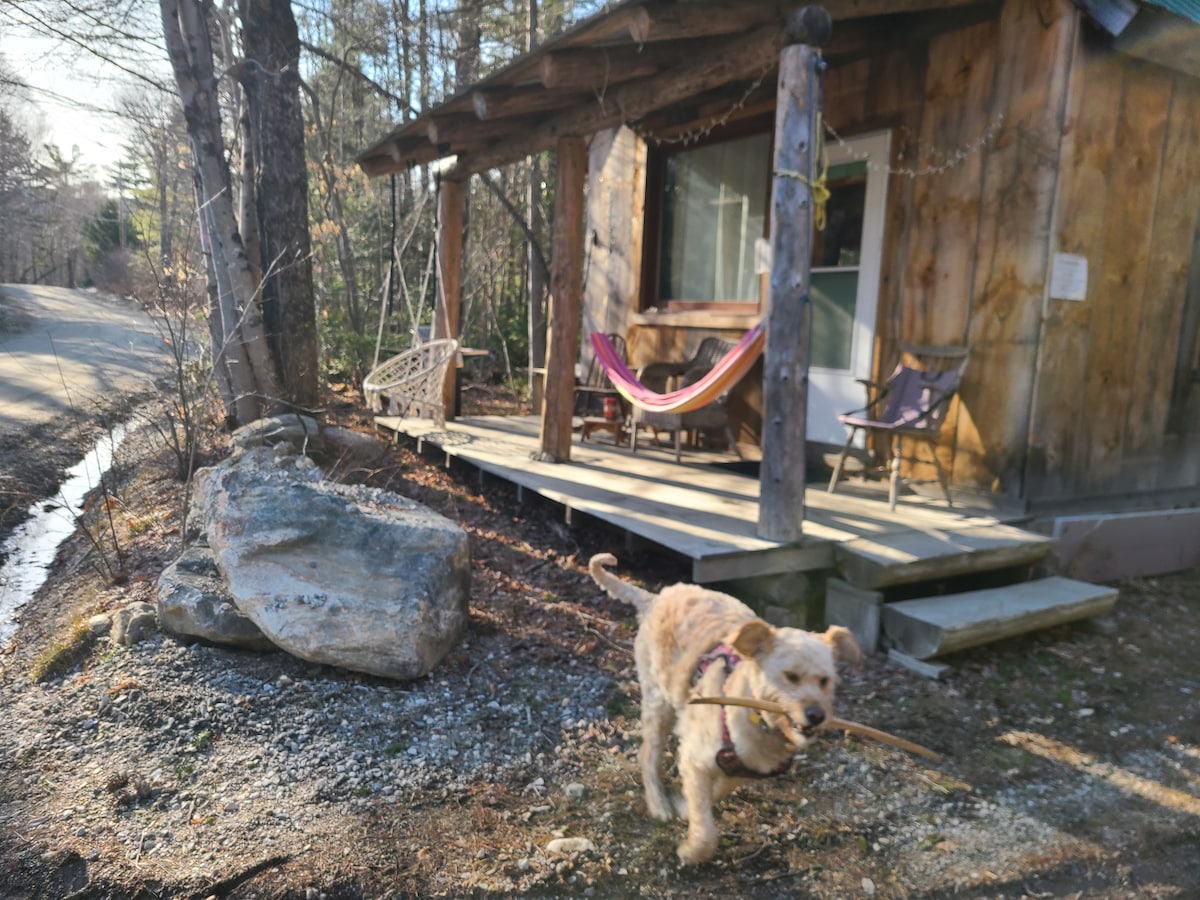 The exterior of the glamping cabin is shown, featuring wooden structural elements and a porch with a hammock and a chair. A dog is seen playing with a stick in front of the cabin, while a gravel path and trees are visible nearby.