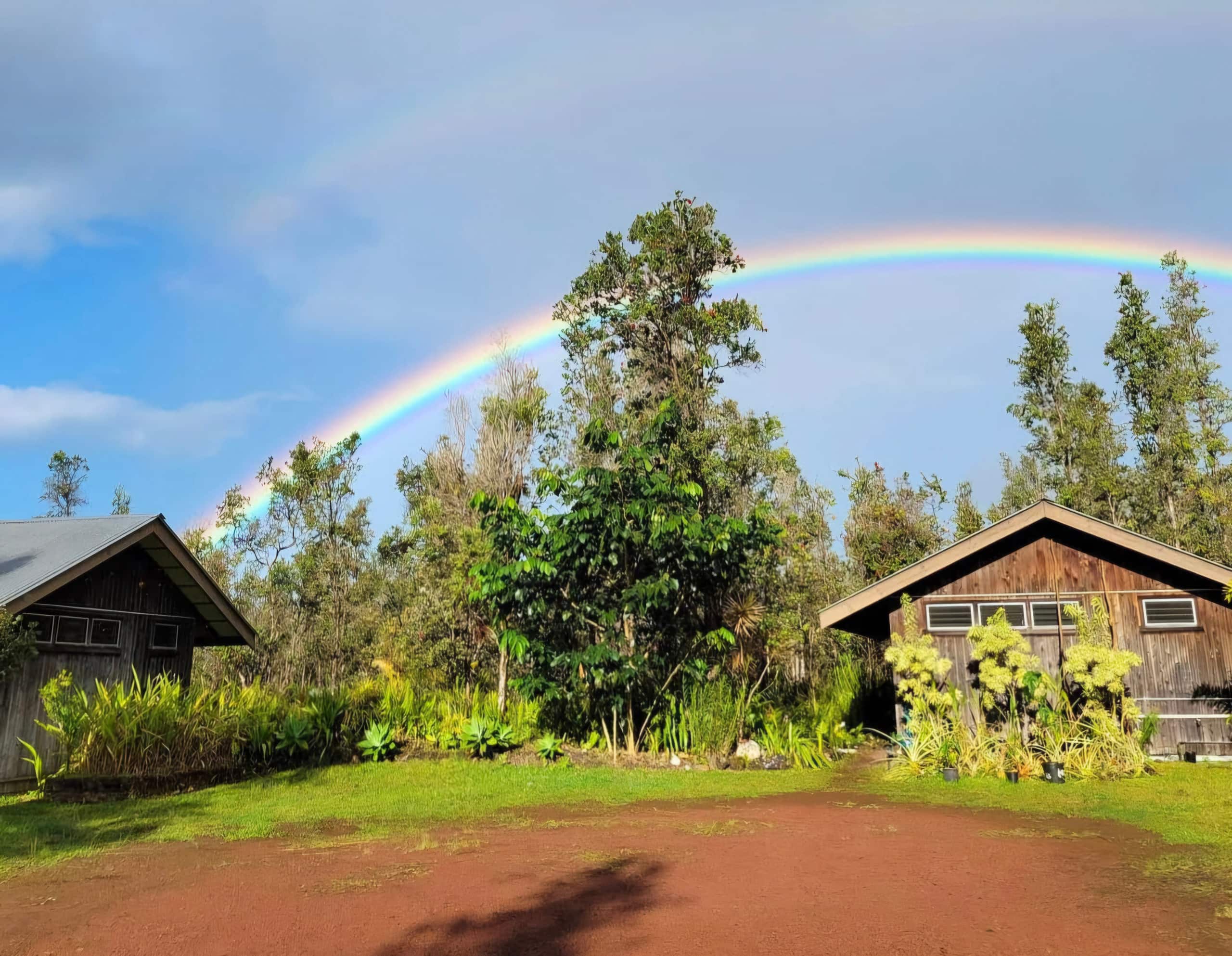 Cabin in Pahoa · ★5.0 · 1 bedroom · 1 bed · 1 private bath - Image 8