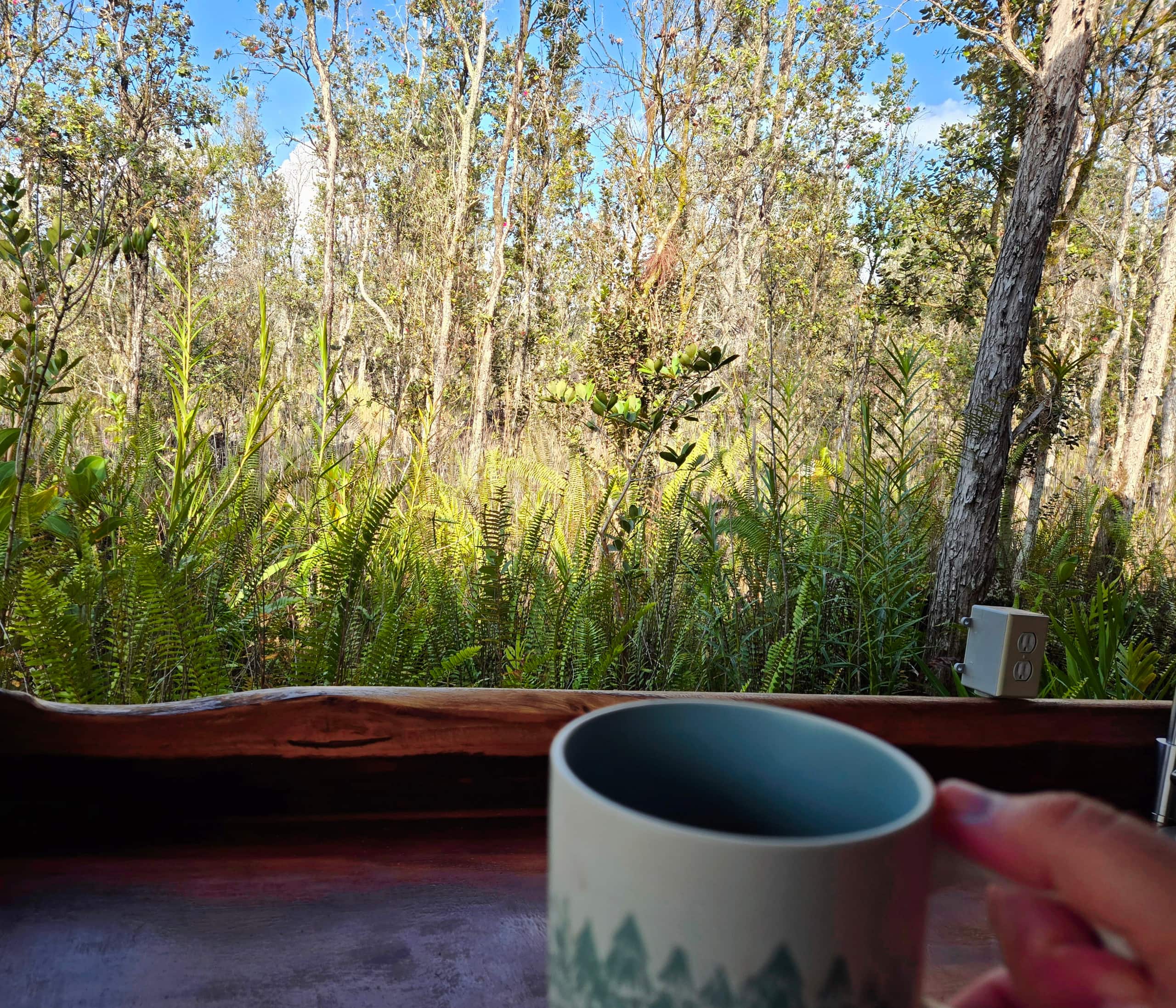Cabin in Pahoa · ★5.0 · 1 bedroom · 1 bed · 1 private bath - Image 2