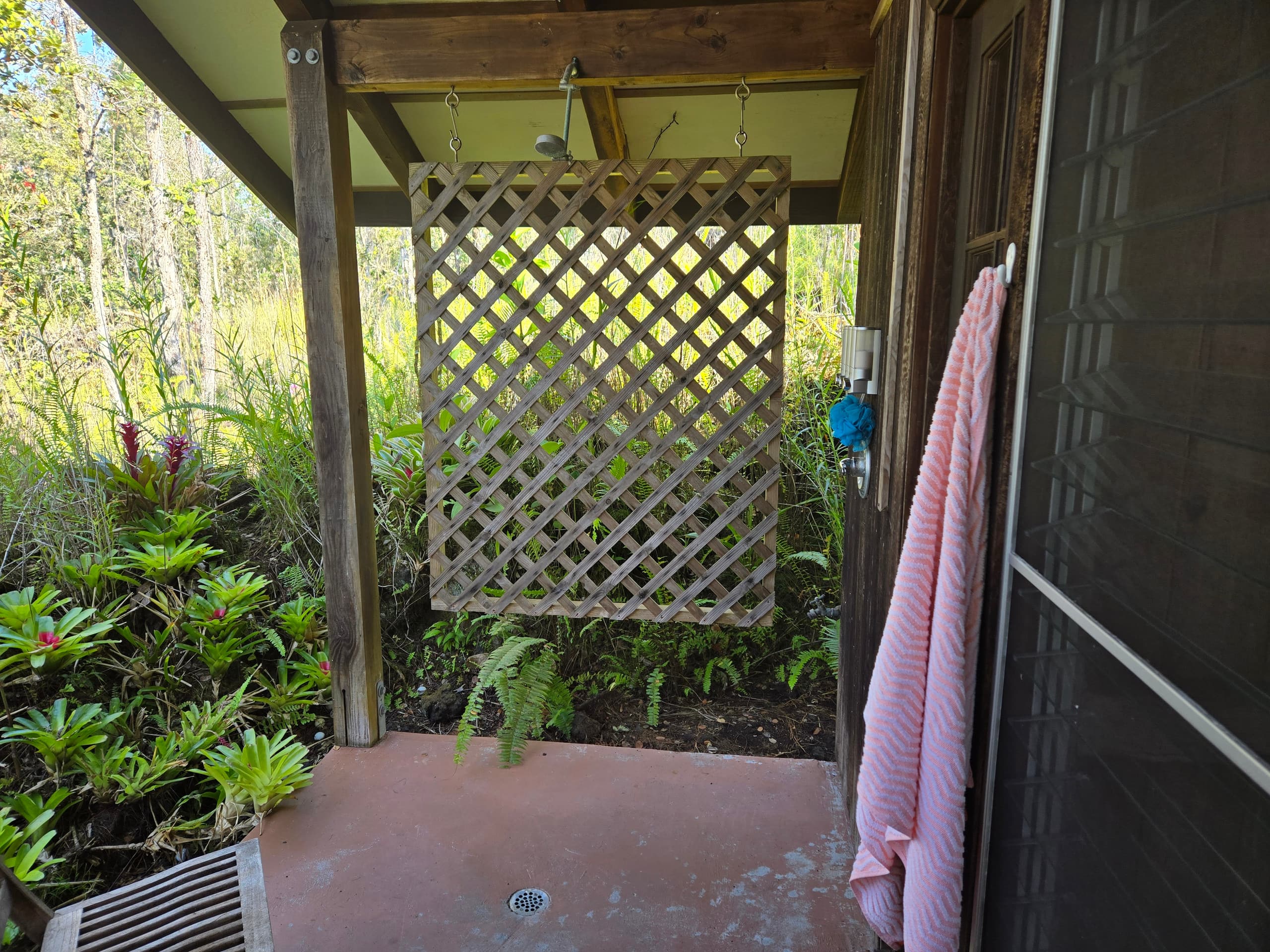 Cabin in Pahoa · ★5.0 · 1 bedroom · 1 bed · 1 private bath - Image 7
