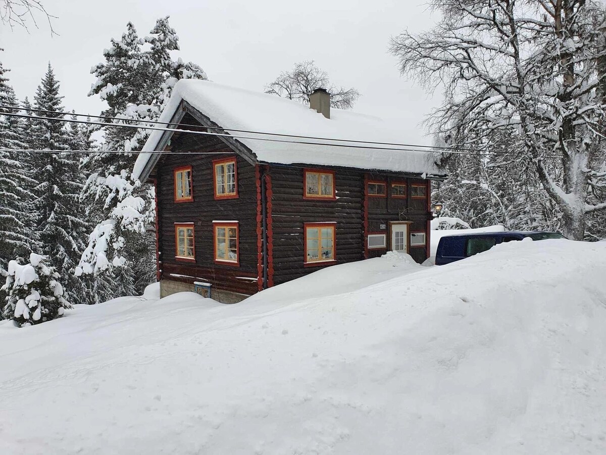 A cozy wooden cabin is nestled amidst a snow-covered landscape, with its exterior featuring dark wood and brightly painted window frames. Snow blankets the ground and roof, while nearby trees stand adorned with frost, creating a serene winter scene.