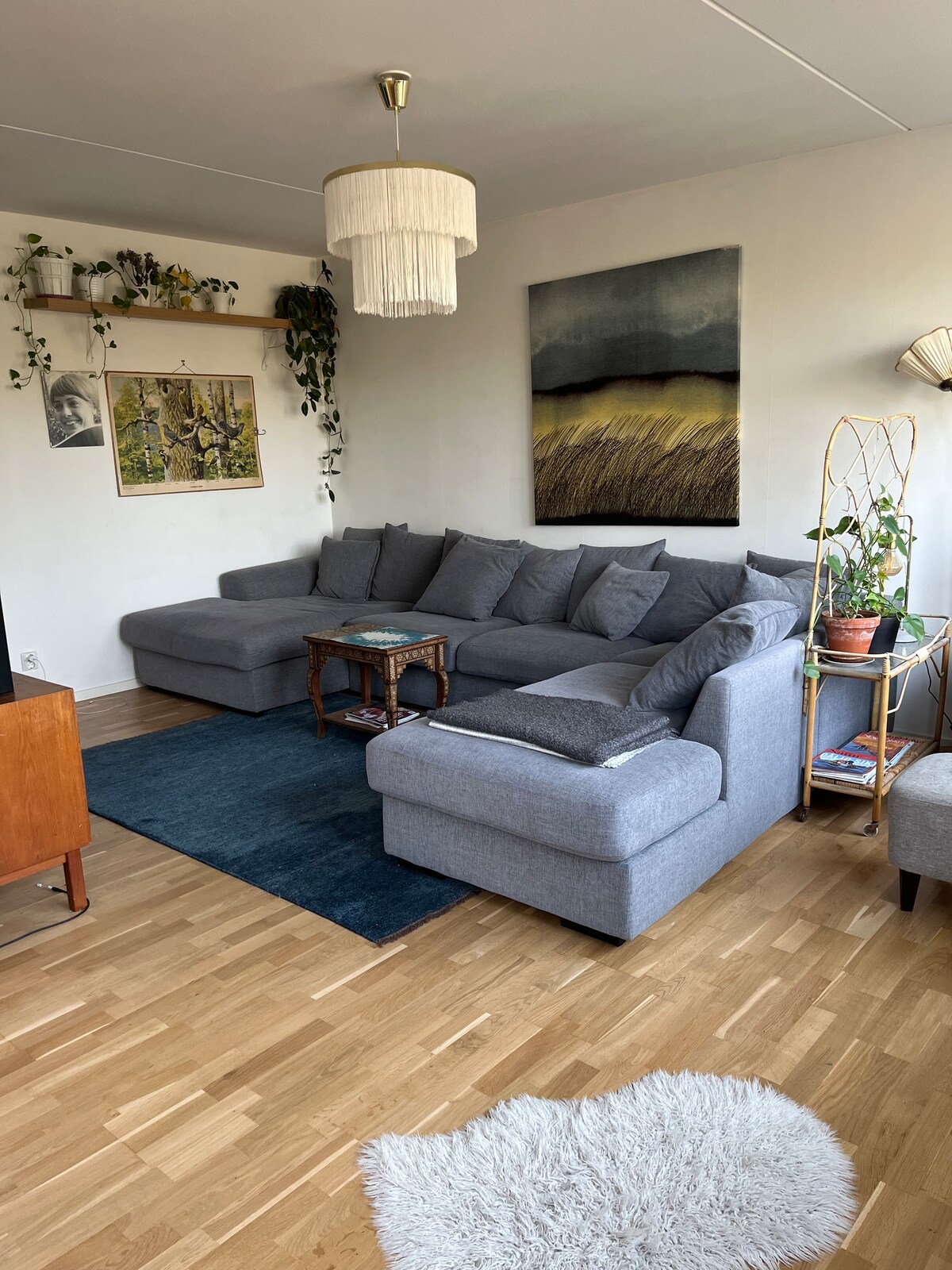 A spacious living area features a large gray sectional sofa positioned against the wall, complemented by a wooden coffee table. Green plants add a touch of nature, while a framed painting hangs above the sofa. A soft, round rug lies on the wooden floor.