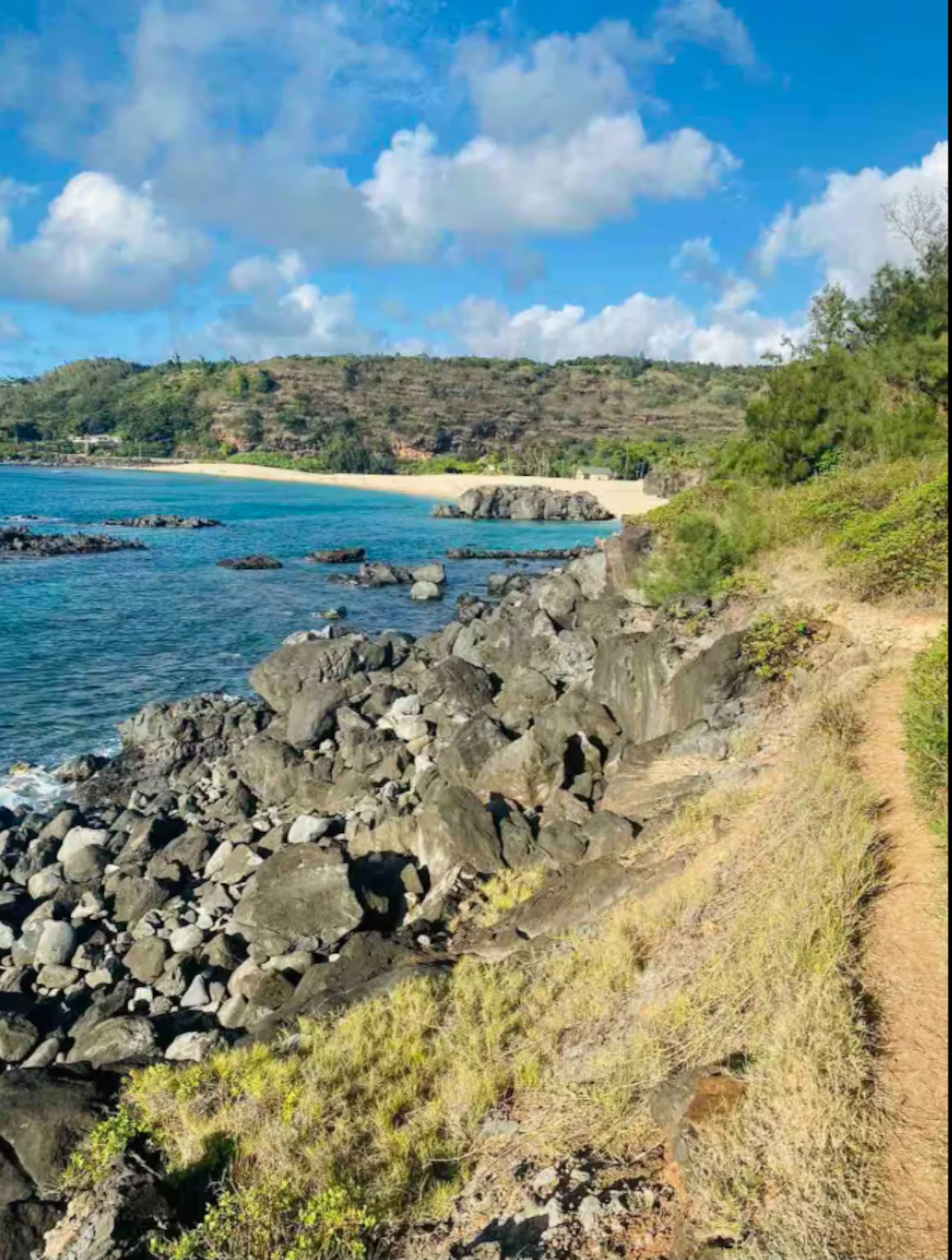 Waimea Bay Studio With Sauna - Walk to beach - Photo 30