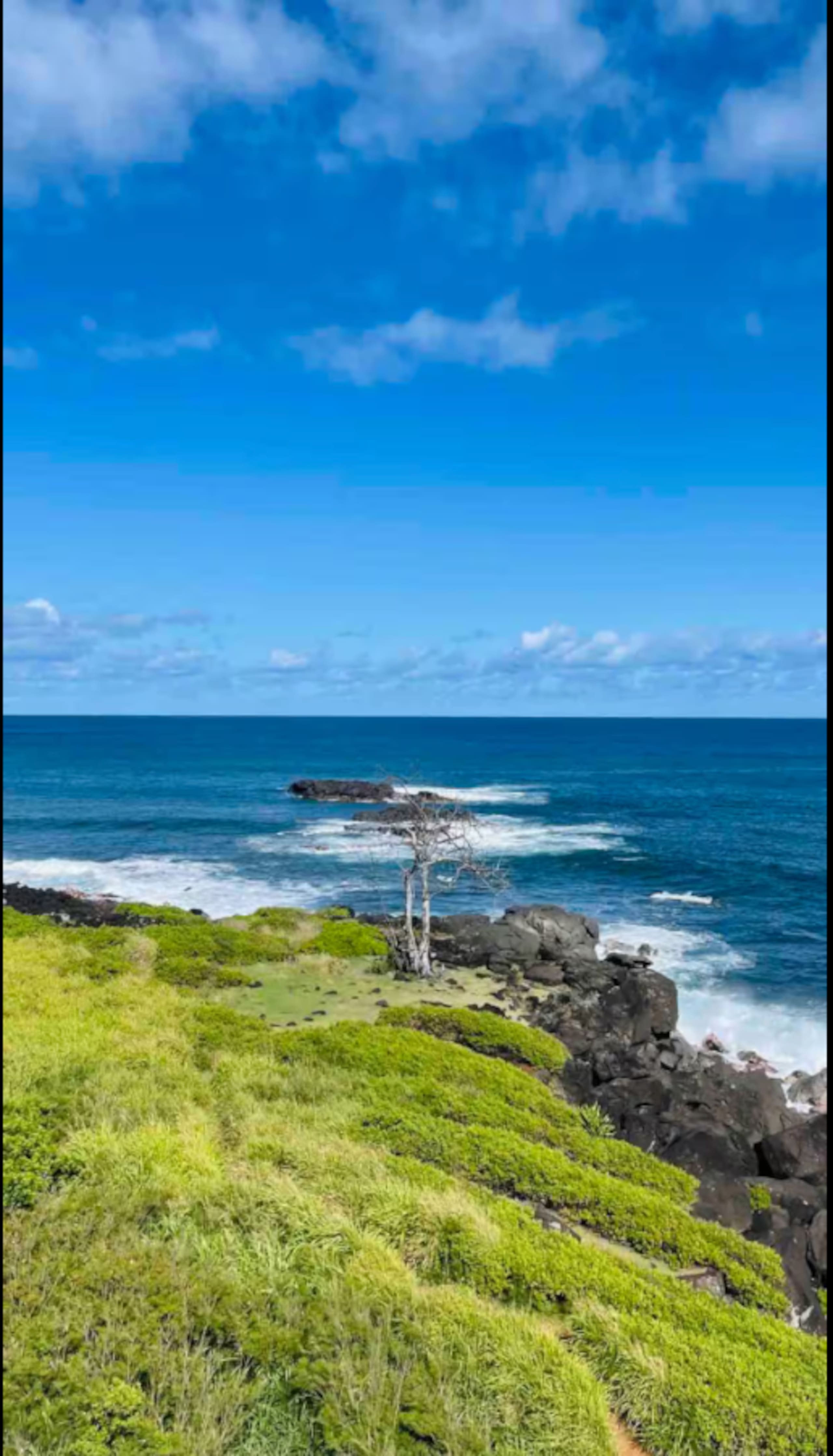 Waimea Bay Studio With Sauna - Walk to beach - Photo 31
