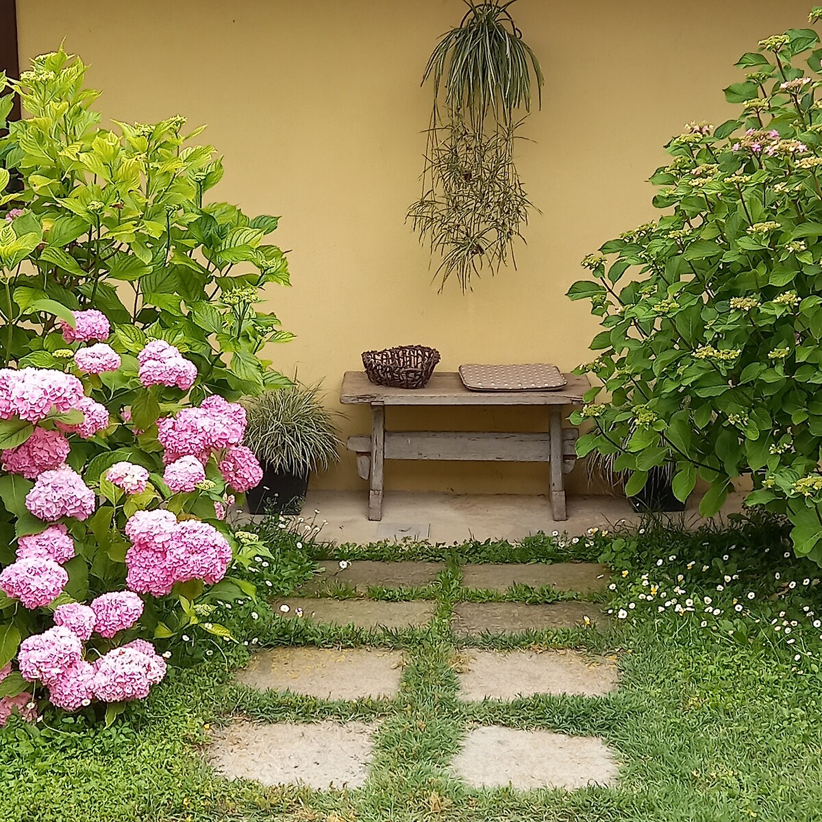 A serene garden scene features vibrant pink hydrangeas beside a stone pathway leading to a simple wooden bench. Lush greenery frames the area, with potted plants adding texture. A woven basket rests on the bench, providing a natural touch to the tranquil outdoor space.