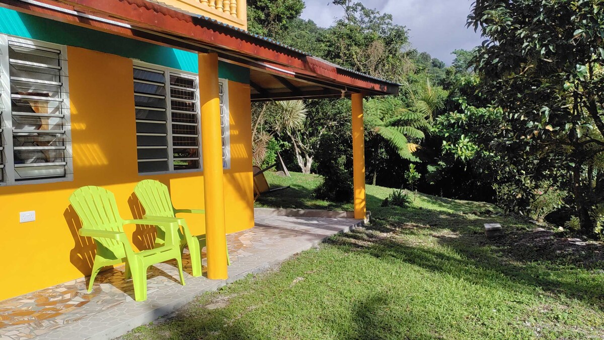 An inviting outdoor space features two bright green chairs positioned on a stone patio. Lush greenery surrounds the area, including various plants and trees, creating a serene garden atmosphere. Natural light filters through the space, highlighting the vibrant yellow walls of the building.