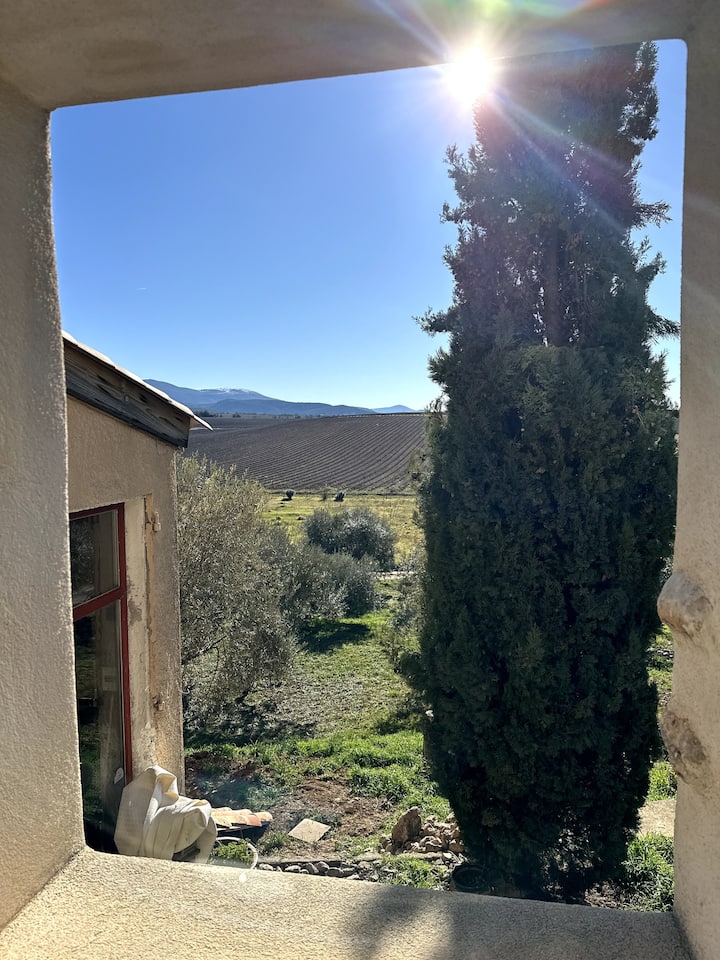 Domaine De La Blache - Le Pigeonnier - Gorges du Verdon