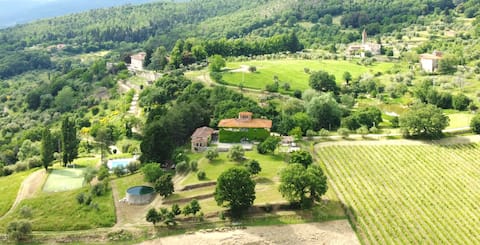 Typical Farmhouse in Chianti with a view