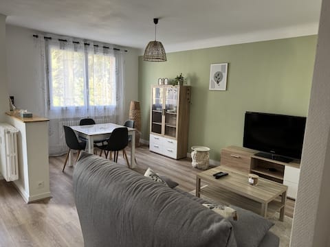 Successful Airbnb property: Bright two-room apartment with balcony near Cours Fauriel in Saint étienne