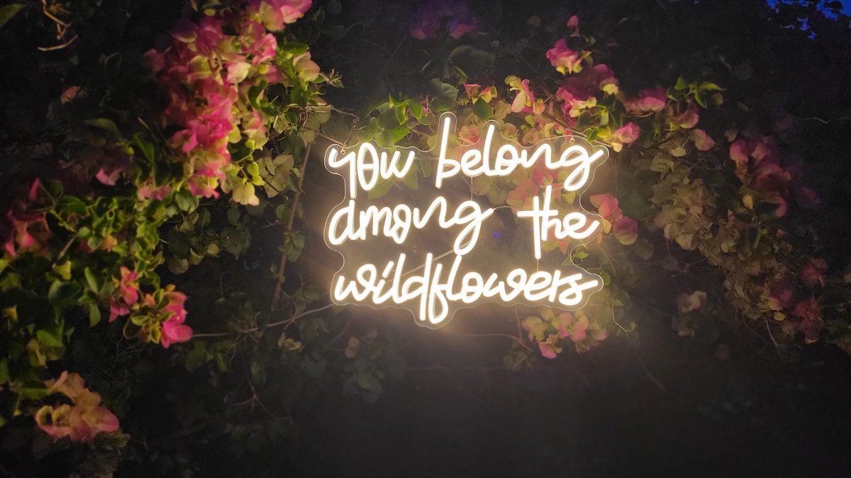 A softly glowing neon sign is framed by vibrant wildflowers, creating a serene ambiance. The sign reads 'you belong among the wildflowers,' with delicate pink blooms surrounding it, enhancing the tranquil setting of the artist retreat.