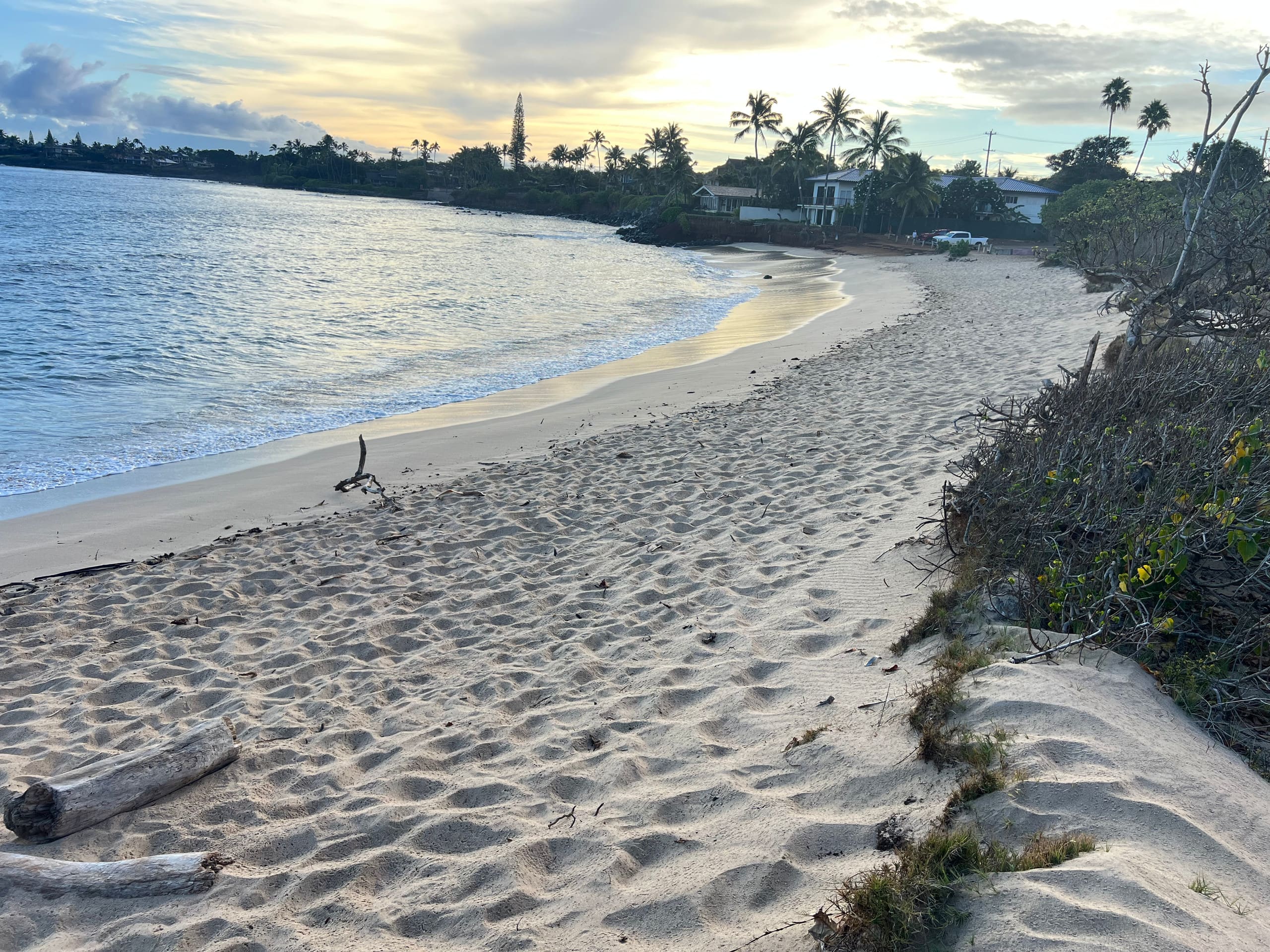 Honu Cottage - Photo 8