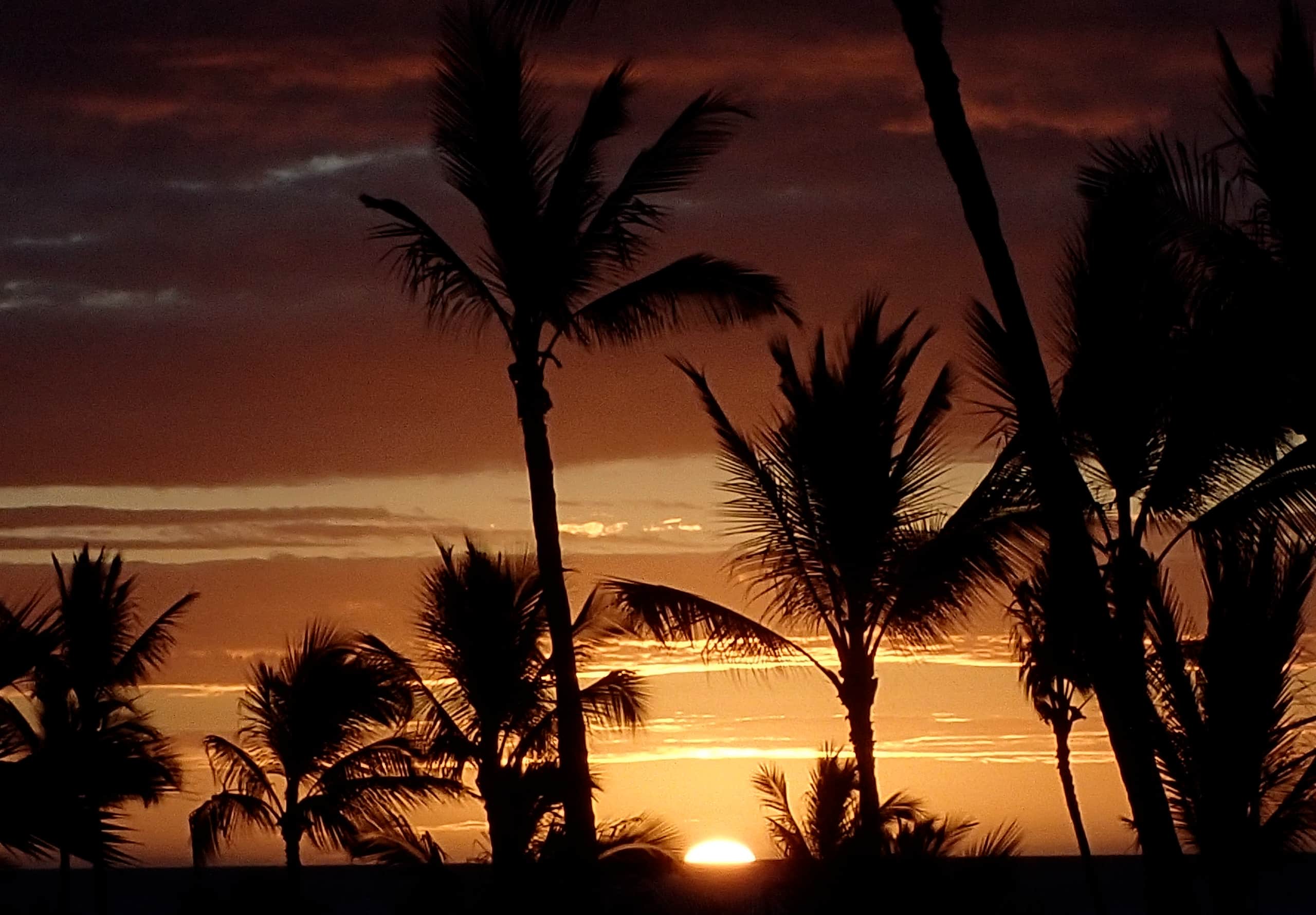 Condo in Kahuku · ★4.94 · 1 bedroom · 2 beds · 1 private bath - Image 1