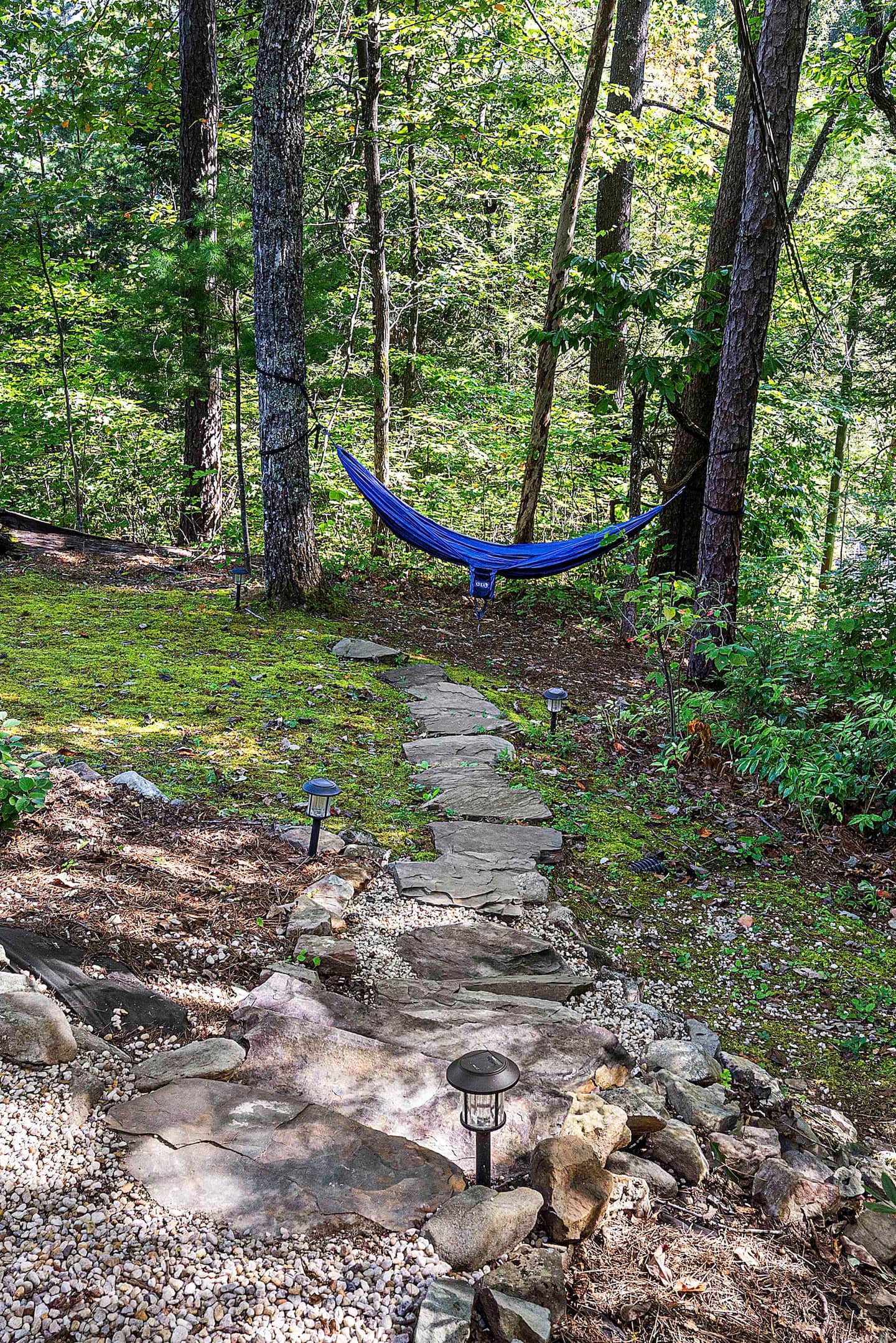 Escape into the woods for twenty minutes and swing in the hammock strung between the trees, cell service optional, naps 