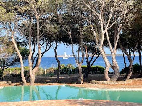 The House on the Beach
Keep it fresh