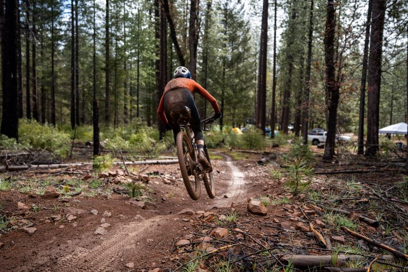 Off track mountain biking in Boggs Mountain State Forest which has been replanted with hundreds of thousands of trees since it burned in 2015. at Panoramic View Campsite – bring yo