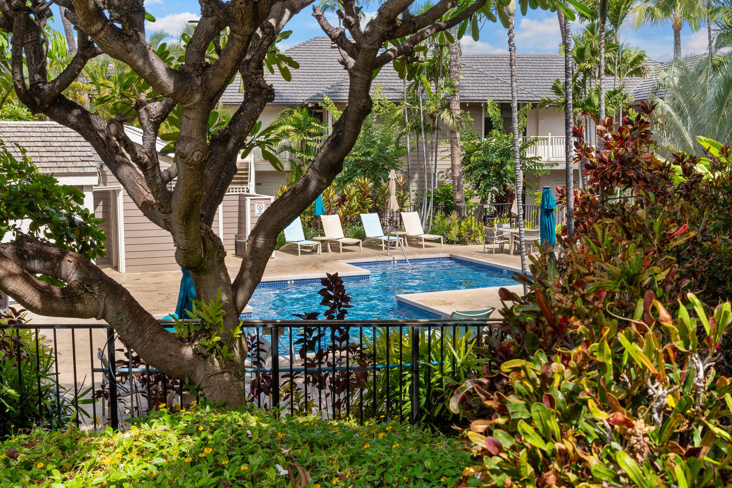 Condo in Wailea · ★5.0 · 2 bedrooms · 4 beds · 2 baths - Image 63
