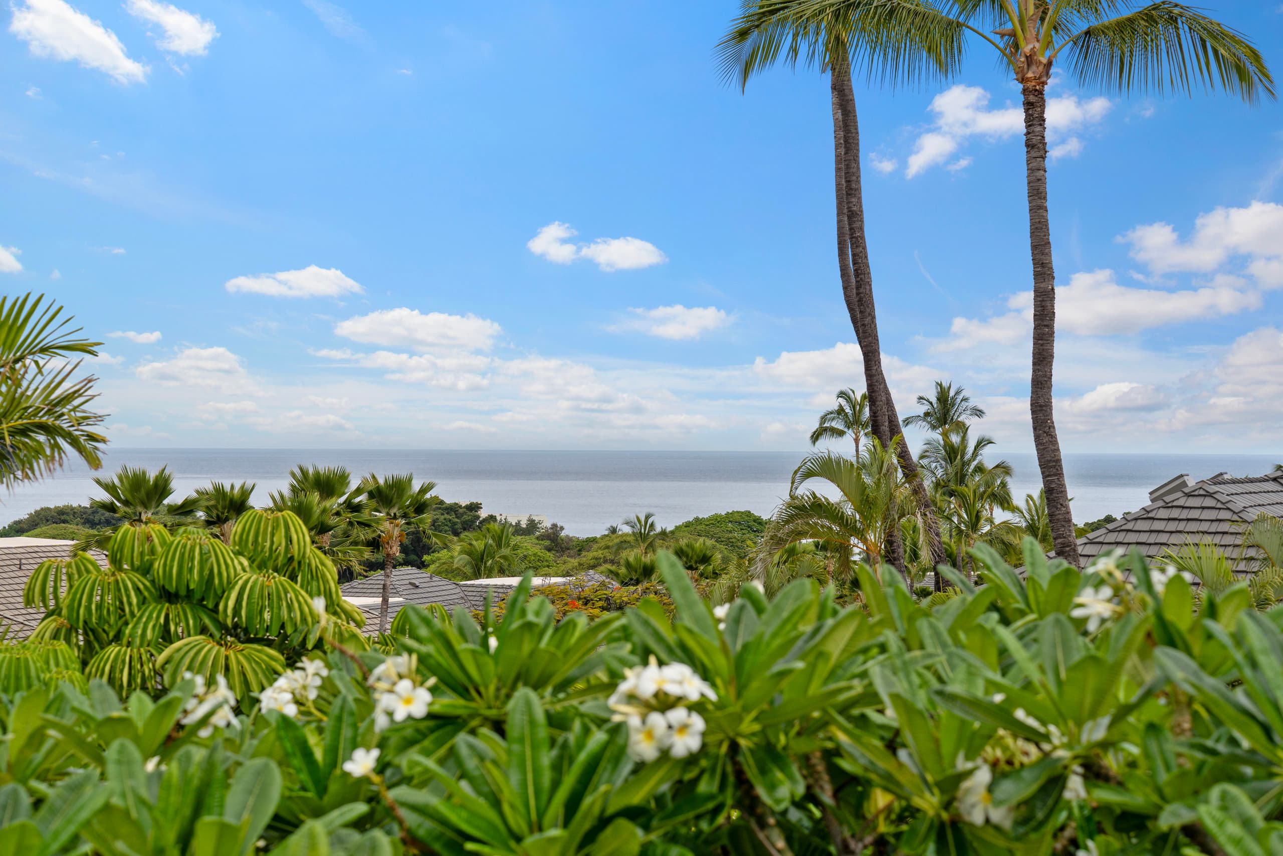 Condo in Wailea · ★5.0 · 2 bedrooms · 4 beds · 2 baths - Image 49