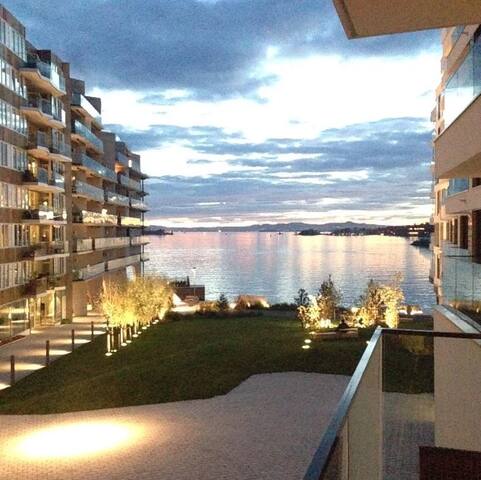 Tjuvholmen | Cruise View | Walk Everywhere