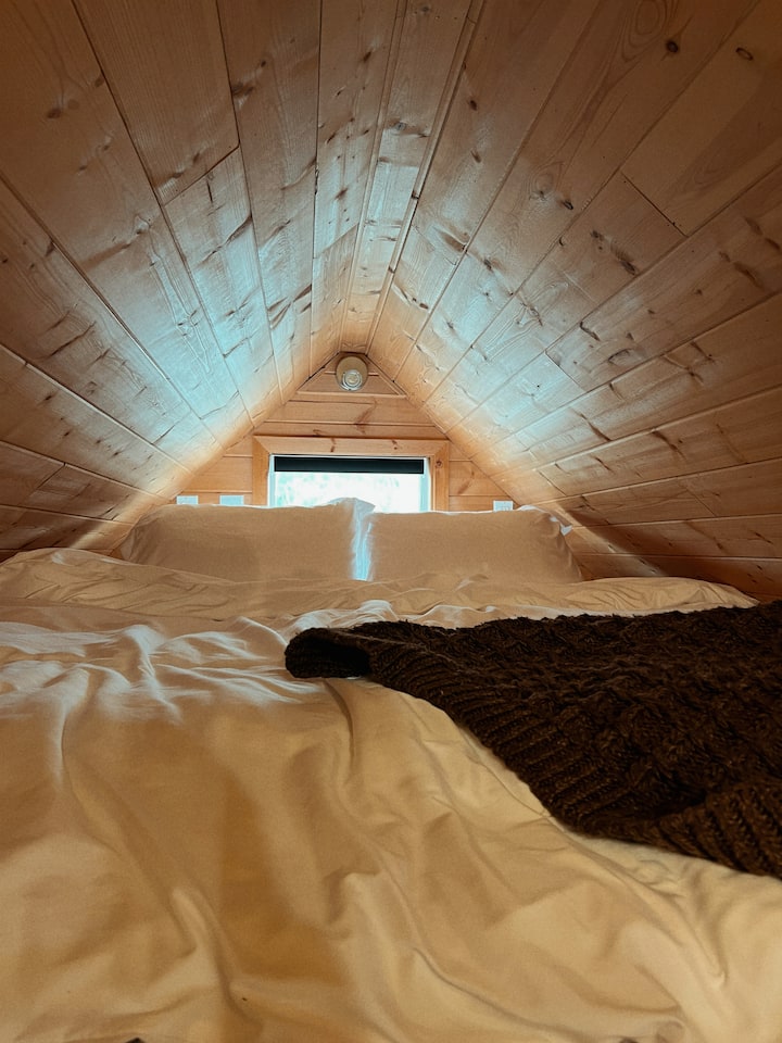 Área de la habitación