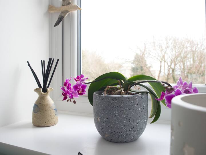 საძინებელი