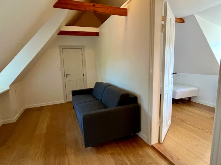 Sala de entrada con sofá cama con capacidad para 2 personas. 