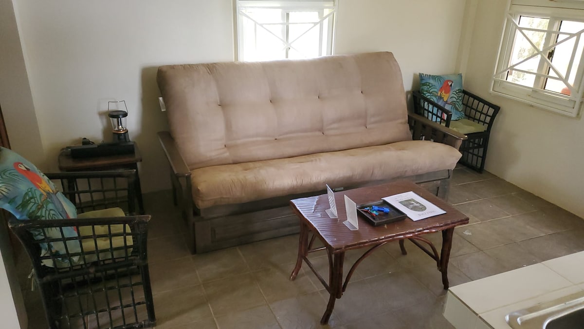 Futón tamaño queen en la sala de estar de Cottage para huéspedes adicionales.