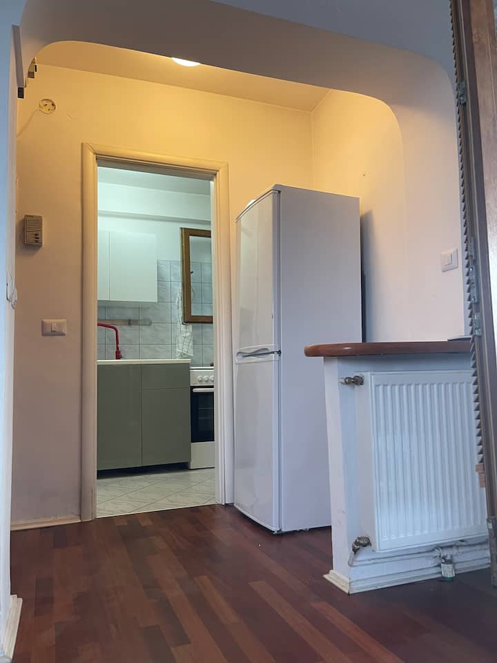 Apartament Panoramic Langă Cismigiu - Boekarest
