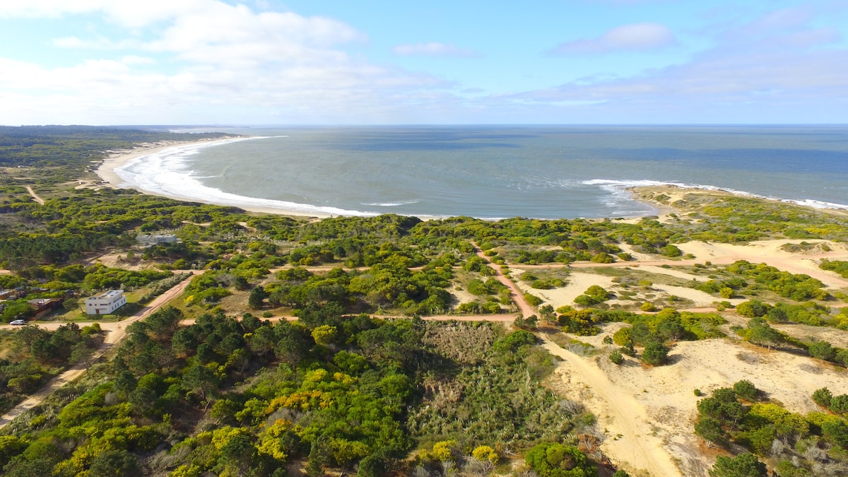 An aerial view captures the expansive coastline of Playa Grande, featuring a serene beach bordered by lush greenery. The ocean meets the shoreline, creating gentle waves, while pathways meander through the vibrant landscape, providing a sense of tranquility and connection to nature.