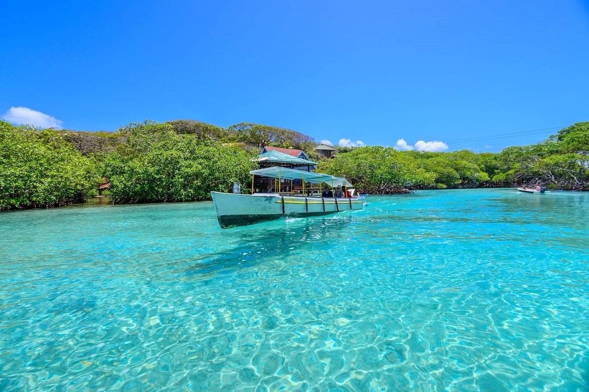A small boat glides through clear turquoise waters, surrounded by lush greenery and mangroves on both sides. The bright blue sky is dotted with a few fluffy white clouds, creating a serene and inviting atmosphere for exploration.