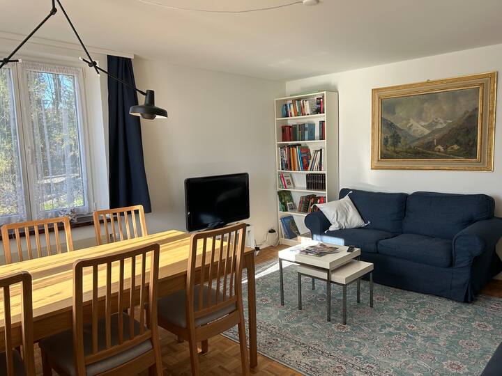 Wohnung Eg Und 1.stock - Appenzell