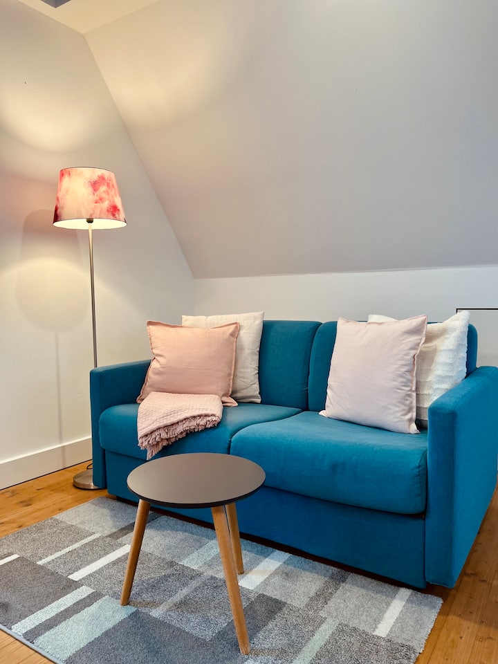 Charming Duplex Flat "Mainviertelhof" - Würzburg