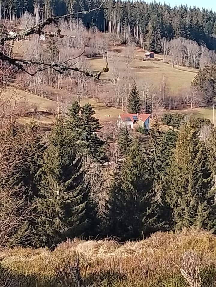 Maison Architecte Pleine Nature - Gérardmer