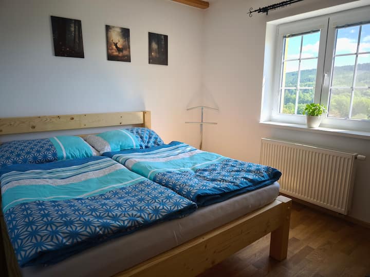 habitación doble n .º 2 en planta baja (1 colchón de 160x200 cm)