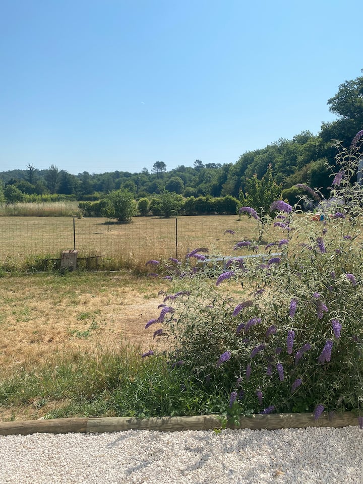ÉVasion Provençale - Saint-Maximin-la-Sainte-Baume