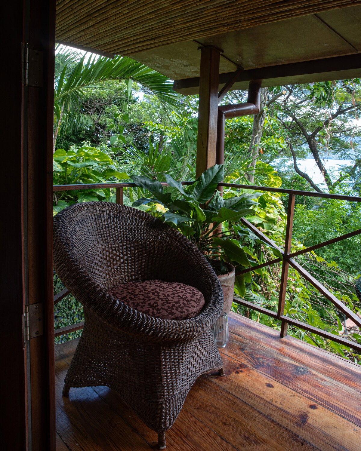 A private terrace is showcased, featuring a woven wicker chair with a patterned cushion. Lush greenery surrounds the space, providing a sense of tranquility. The wooden floor adds warmth, and the railing offers views of the vibrant jungle scenery.