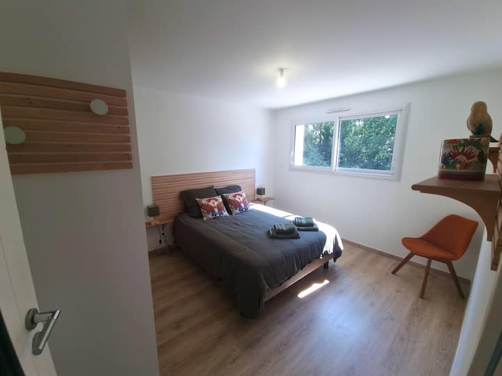 Esta habitación luminosa y moderna invita a la relajación gracias a su vista apacible de la naturaleza. Los espacios de almacenamiento sutiles y las luces suaves mejoran la comodidad y el bienestar de los viajeros.