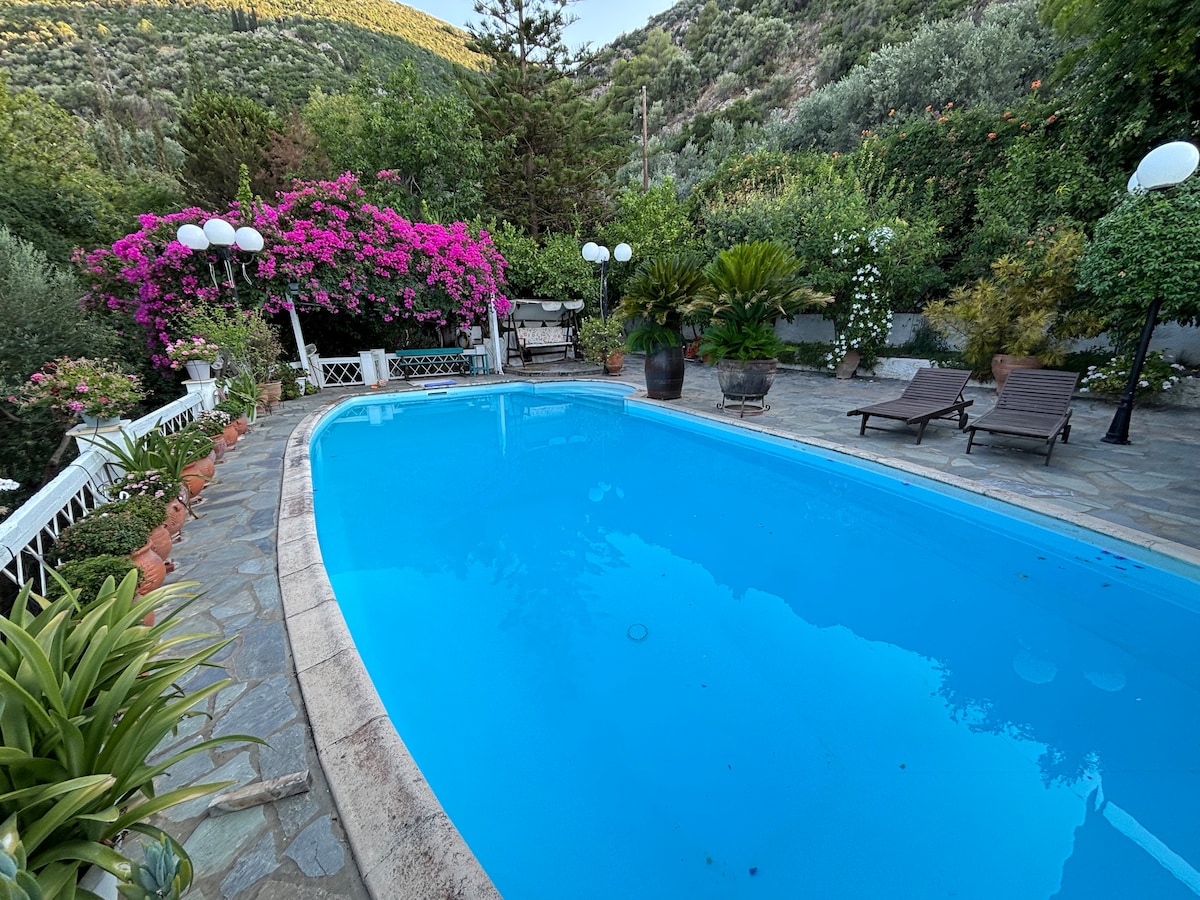 A large swimming pool is surrounded by a stone patio, featuring shaded lounge chairs and vibrant potted plants. Bougainvillea flowers adorn the area, adding a splash of color in the background. Soft lighting fixtures, positioned around the pool, enhance the outdoor ambiance.