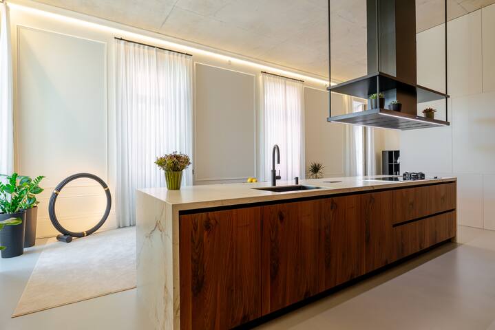 Downtown Luxury Villa w/free parking and garden gallery image 3