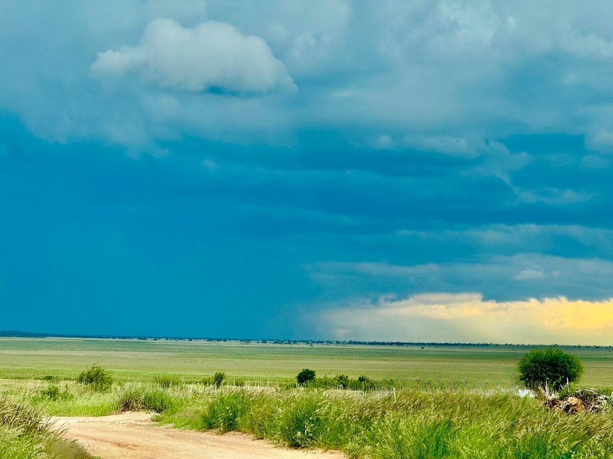 An open landscape stretches across the horizon, featuring lush green grass under a cloudy blue sky. A dirt road leads through the scene, bordered by greenery. The colors shift gradually from deep blue to a softer yellow hue near the horizon, indicating the approach of sunset.