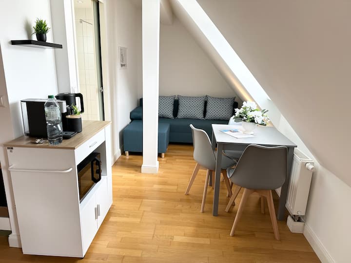 Bella-business&family-100m Castle-parking A15 - Ludwigsburg