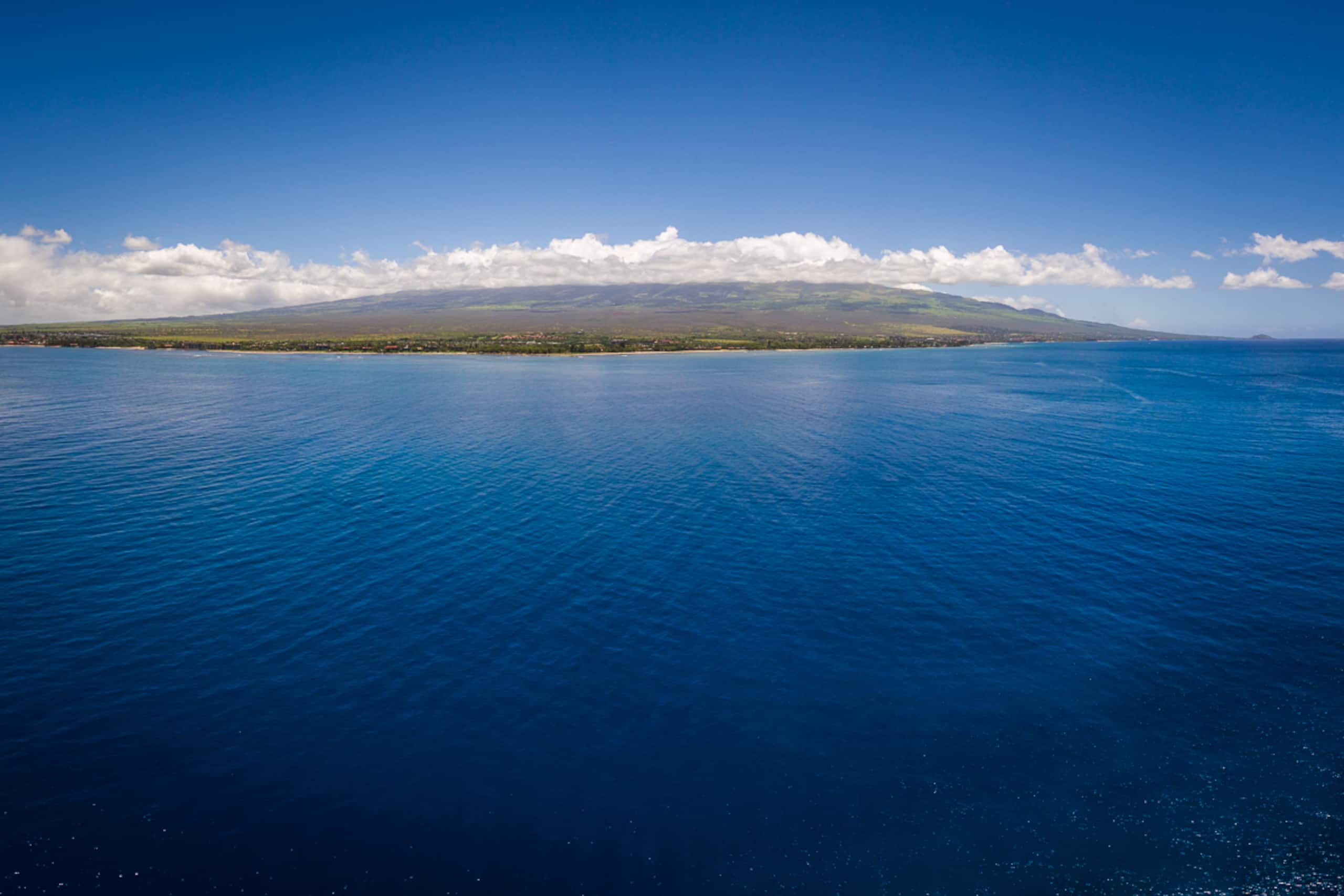 Home in Kihei · ★4.92 · 4 bedrooms · 4 beds · 2.5 baths - Image 62
