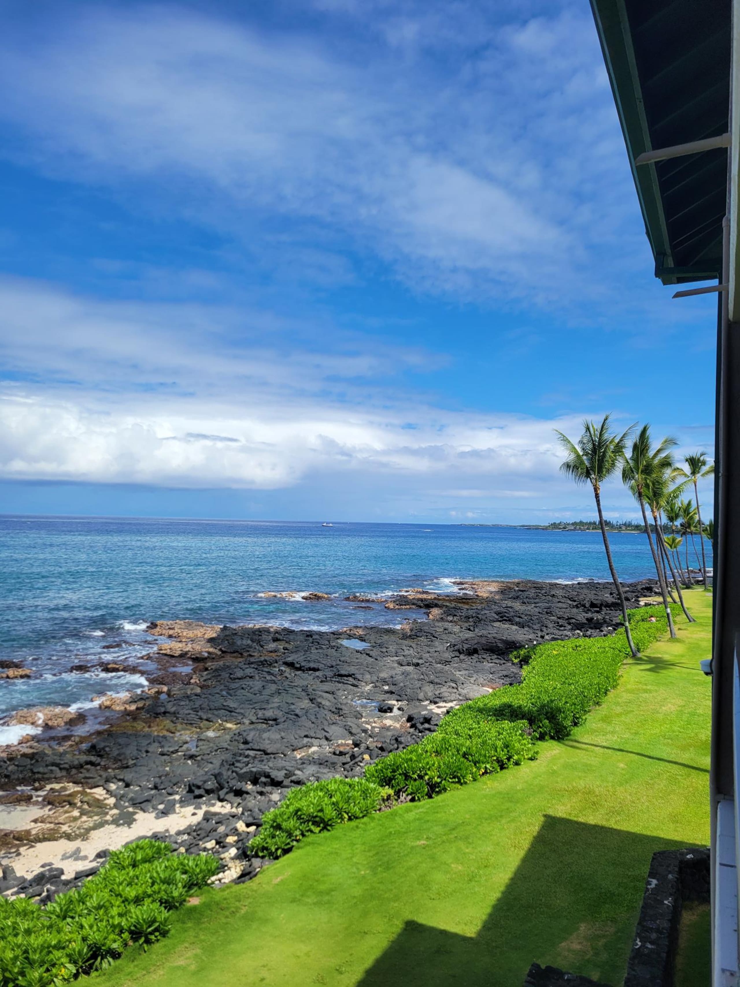 Condo in Kailua-Kona · ★5.0 · 1 bedroom · 2 beds · 1 bath - Image 56