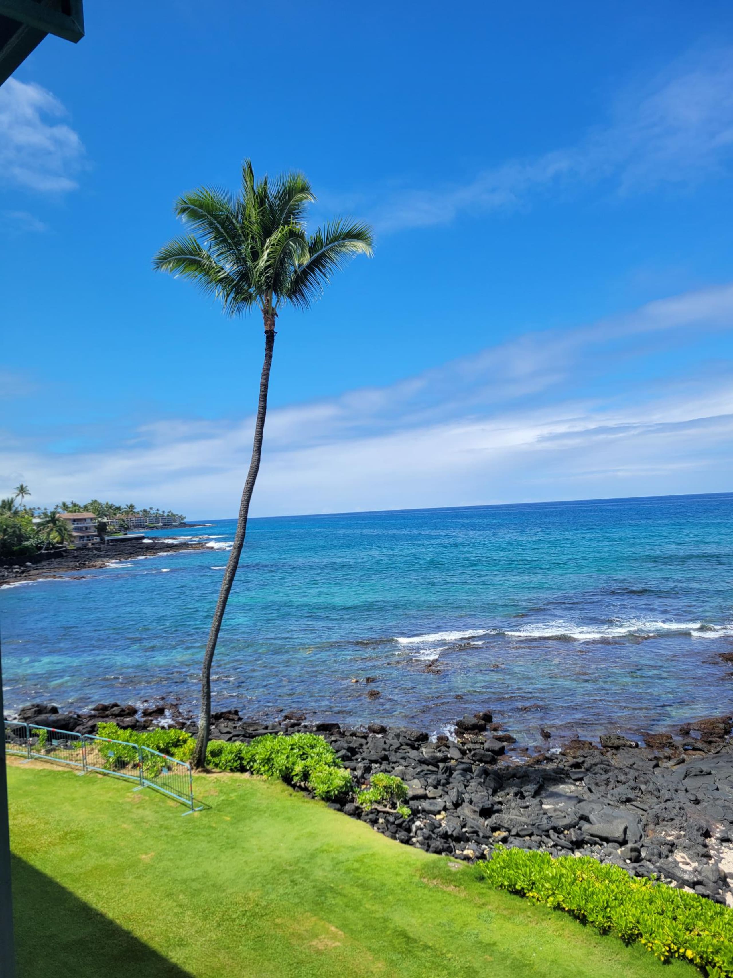 Condo in Kailua-Kona · ★5.0 · 1 bedroom · 2 beds · 1 bath - Image 55