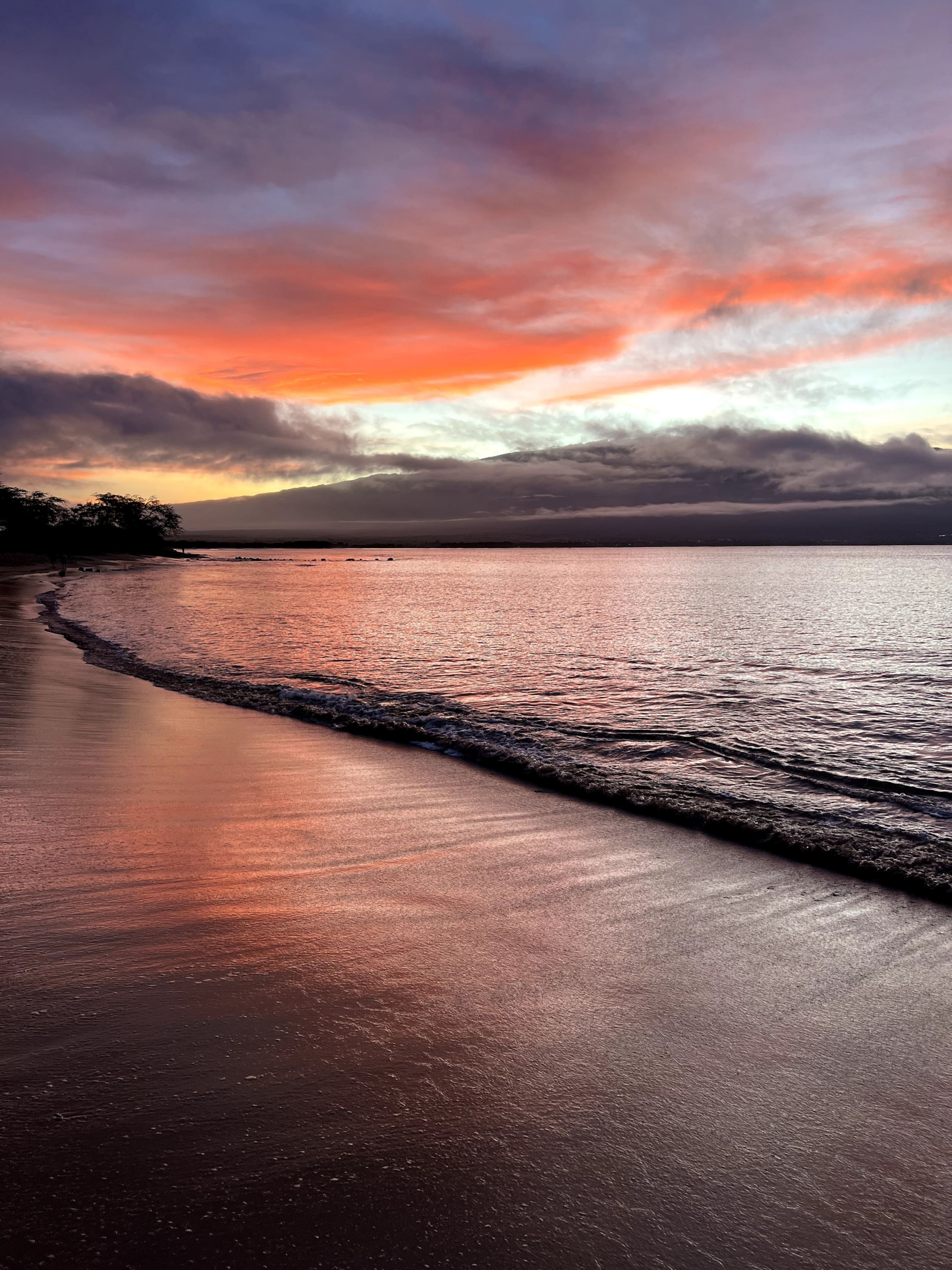 Condo in Wailuku · ★4.73 · 1 bedroom · 1 bed · 1 bath - Image 43