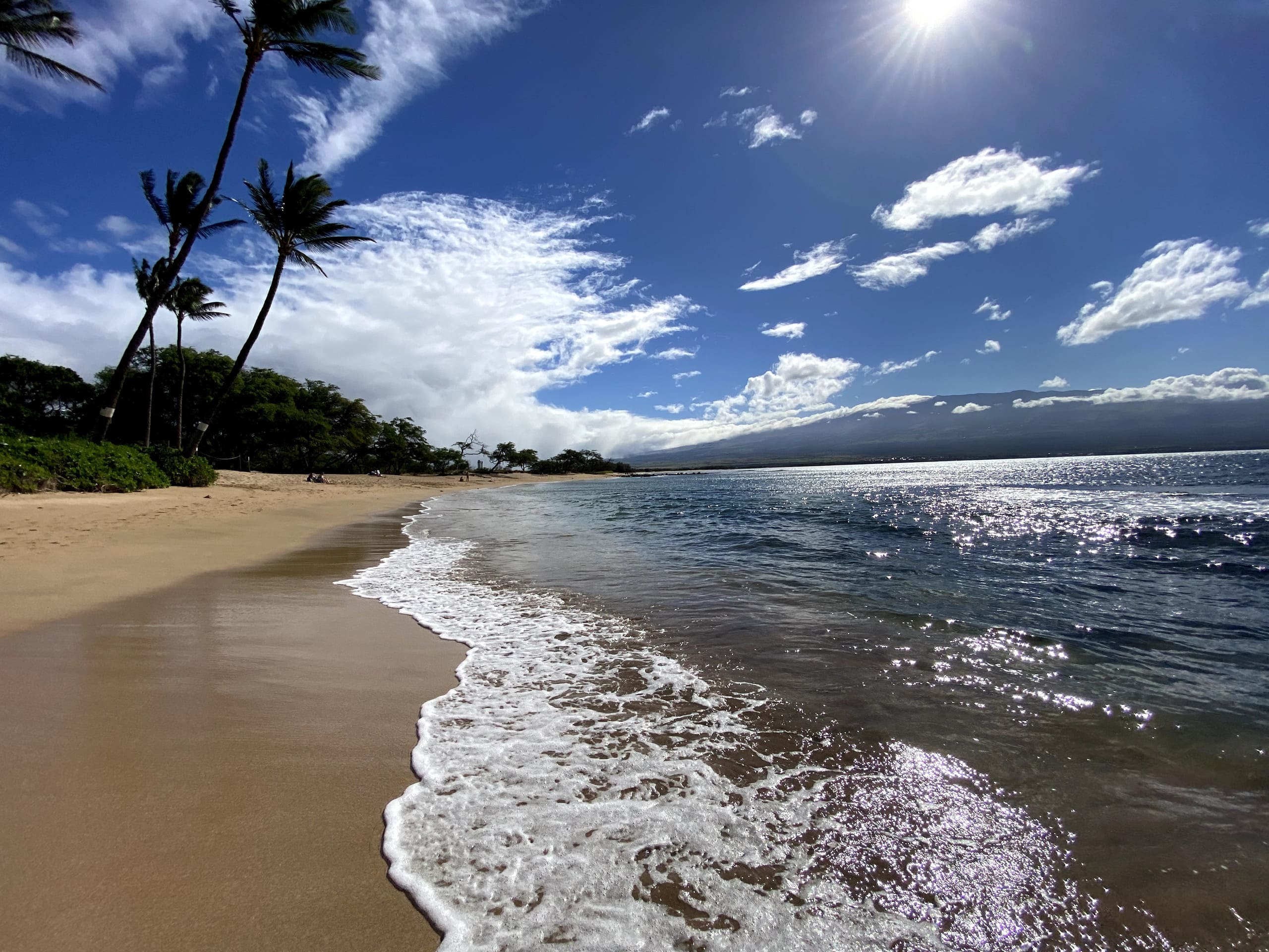 Condo in Wailuku · ★4.73 · 1 bedroom · 1 bed · 1 bath - Image 15